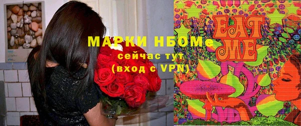 сатива Фурманов