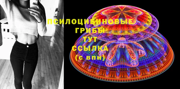 гидра Алексин