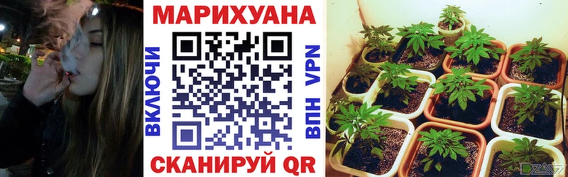 kraken онион  купить   Шумерля  Бошки марихуана OG Kush 